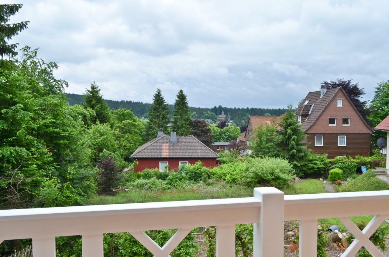 Ferienblockhaus Auerhahn & Luchs Vila Goslar Exterior foto