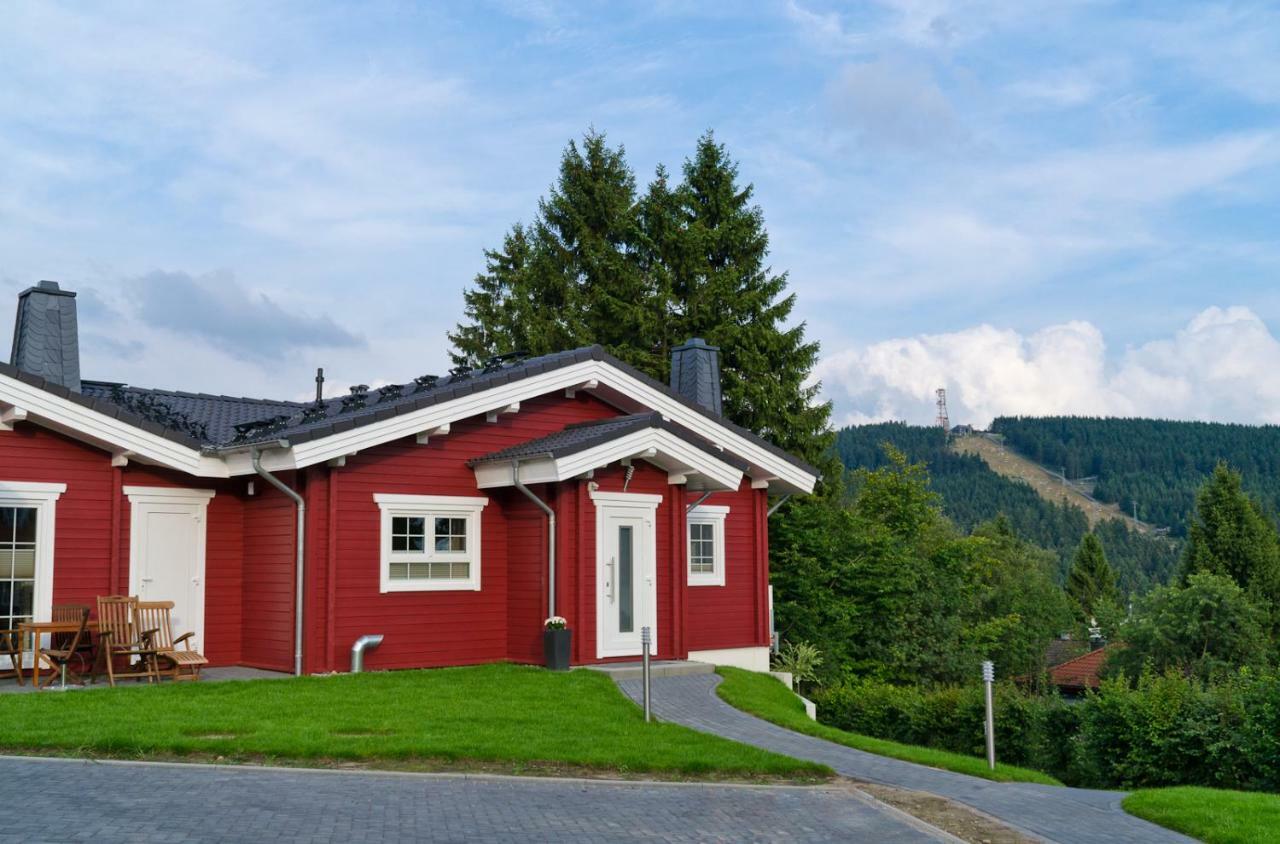 Ferienblockhaus Auerhahn & Luchs Vila Goslar Exterior foto